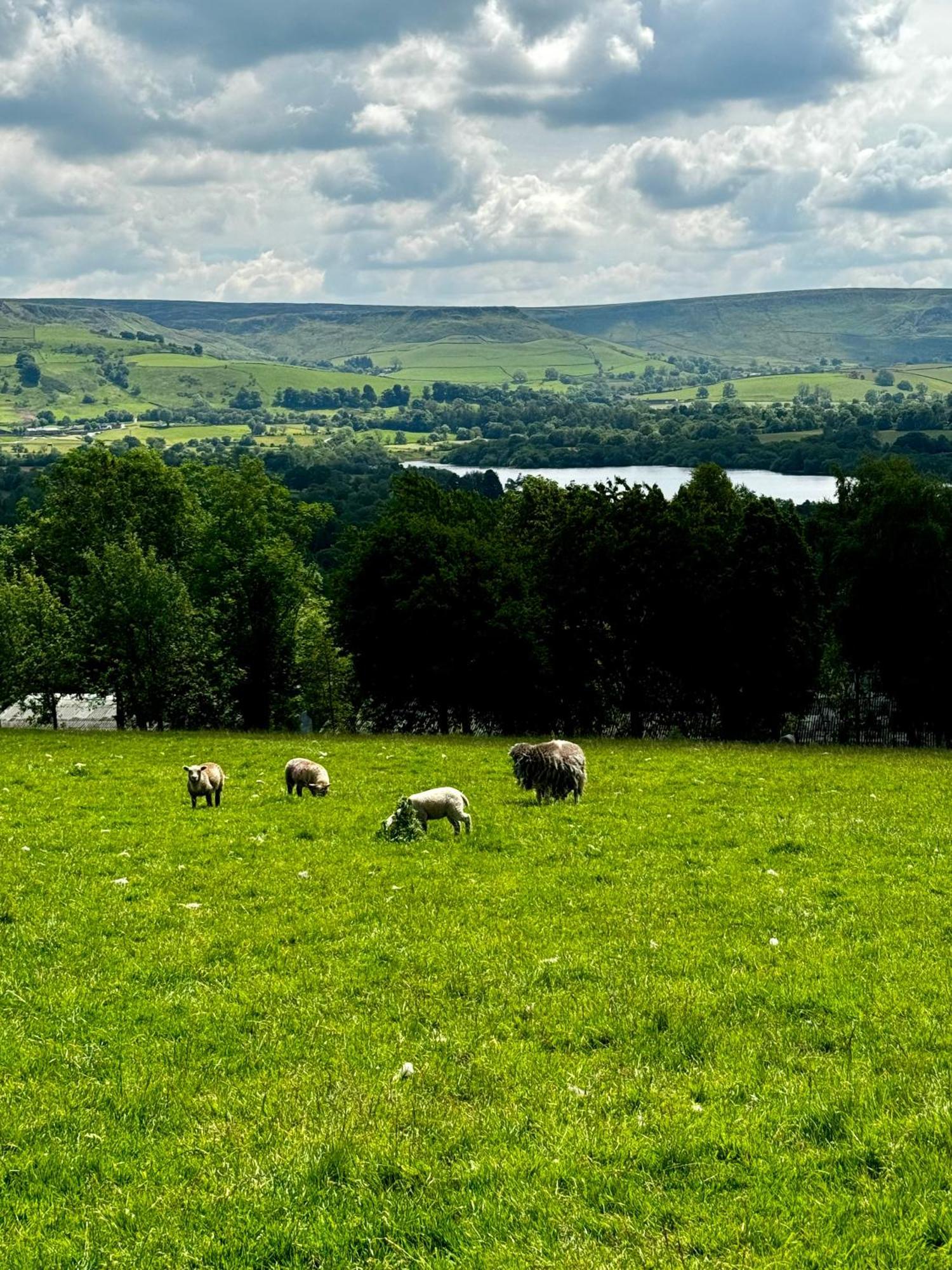 Lyndale Taxal